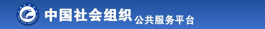 国产美女被大鸡巴插全国社会组织信息查询